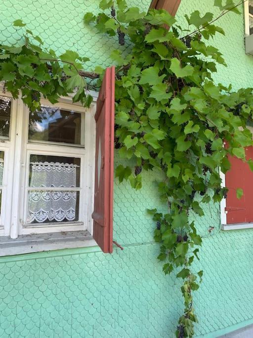 Allgaeu Cottage - Traumhafter Blick In Die Schweizer Berge Weiler-Simmerberg Buitenkant foto