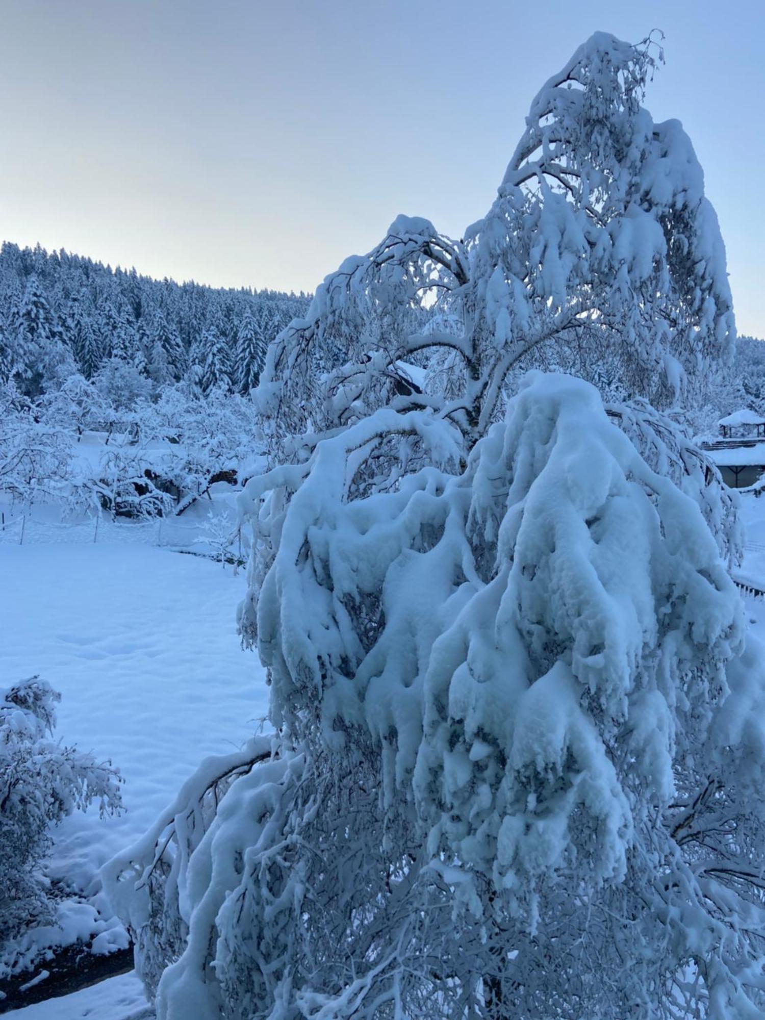 Allgaeu Cottage - Traumhafter Blick In Die Schweizer Berge Weiler-Simmerberg Buitenkant foto
